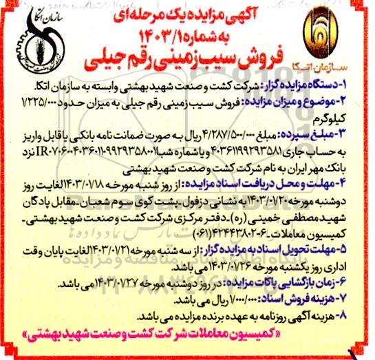 مزایده فروش سیب زمینی رقم جیلی