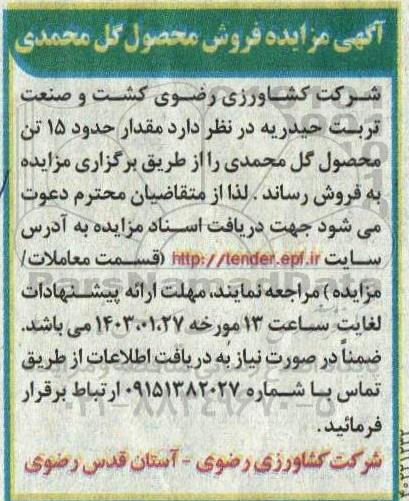 مزایده فروش محصول گل محمدی 