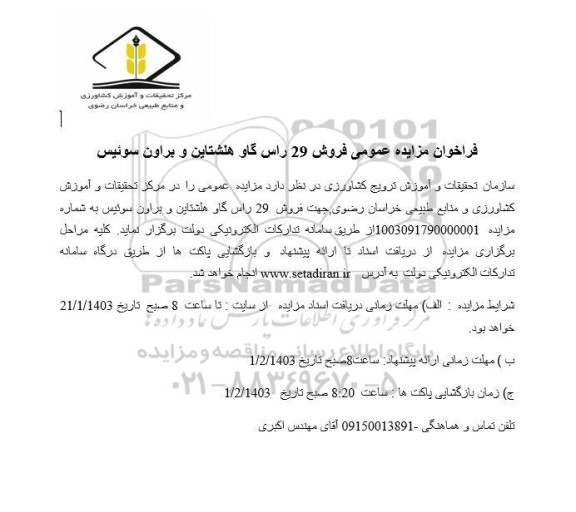 فراخوان مزایده عمومی فروش 29 راس گاو هلشتاین و براون سوئیس
