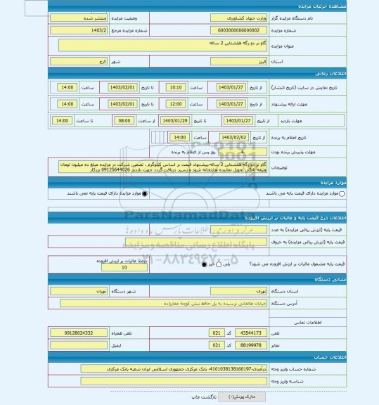 مزایده ، گاو نر دو رگه هلشتاین 2 ساله