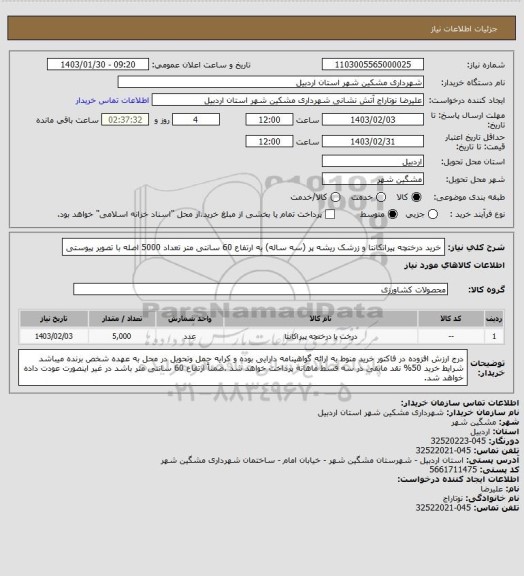 استعلام خرید درختچه پیرانکانتا و زرشک ریشه پر (سه ساله) به ارتفاع 60 سانتی متر تعداد 5000 اصله با تصویر پیوستی