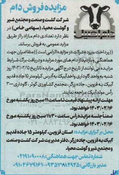 مزایده فروش دام