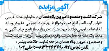 مزایده فروش تعداد تقریبی 50 راس گوساله نر قطع شیر 