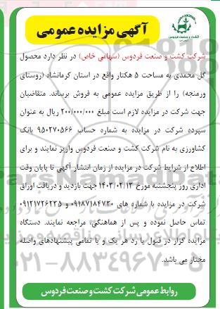 مزایده فروش  محصول گل محمدی به مساحت 5 هکتار