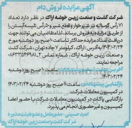 مزایده فروش دام