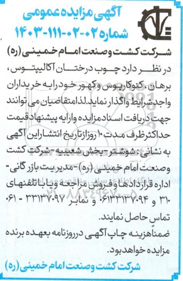 مزایده چوب درختان آکالیپتوس، برهان و...