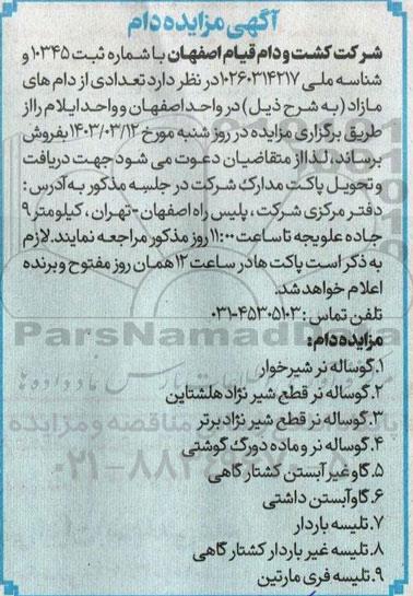 مزایده فروش دام