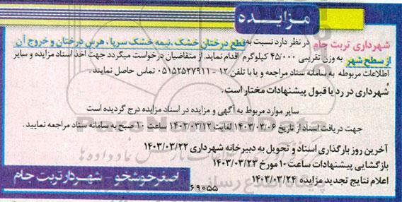 مزایده قطع درختان خشک نیمه خشک سریا، هرس درخ