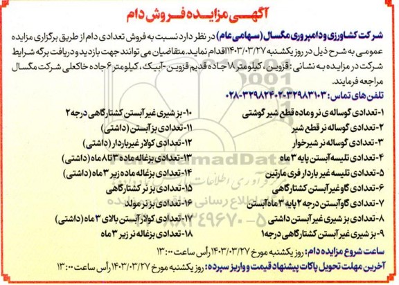 مزایده فروش دام