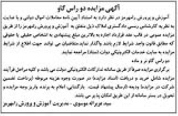 مزایده دو راس گاو