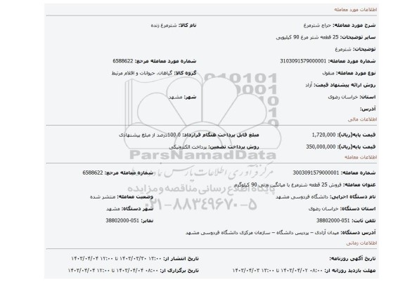 شترمرغ
