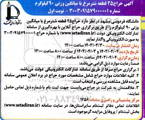 حراج 25 قطعه شترمرغ با میانگین وزنی 90 کیلوگرم 