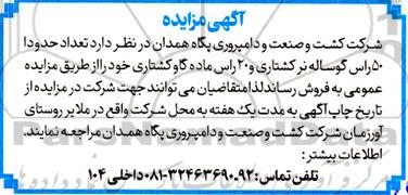 مزایده فروش  تعداد حدودا 50 راس گوساله نر کشتاری 