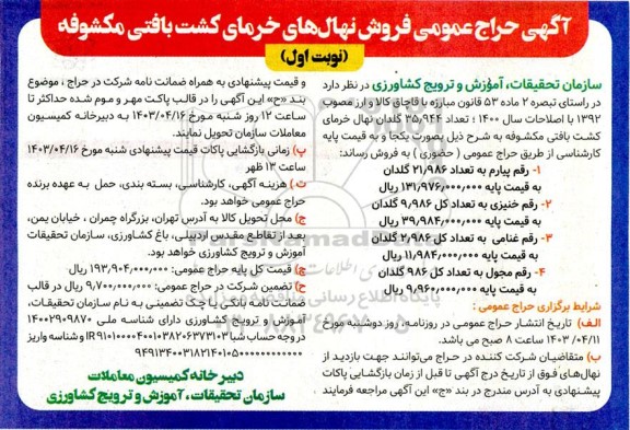حراج تعداد 35.944 گلدان نهال خرمای کشت بافتی مکشوفه