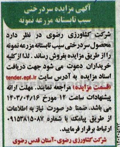  مزایده سردرختی سیب تابستانه مزرعه نمونه