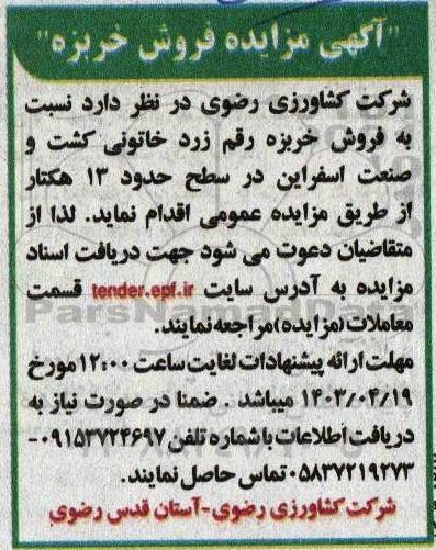 مزایده فروش خریزه