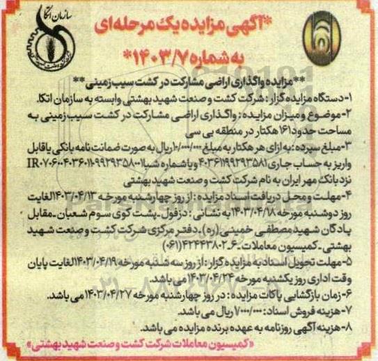 مزایده واگذاری اراضی مشارکت در کشت سیب زمینی