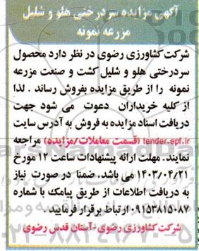 مزایده سردرختی هلو شلیل مزرعه نمونه 