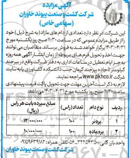 مزایده تعدادی از دام های مازاد