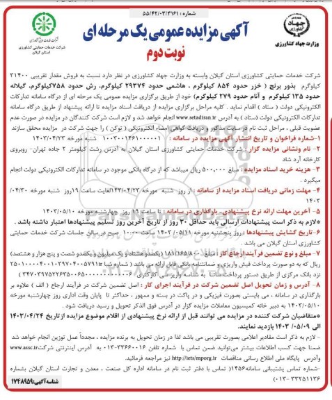 مزایده فروش مقدار تقریبی 31400 کیلوگرم بذور برنج - نوبت دوم
