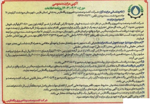 مزایده  فروش حدود 150 راس گوساله نر از شیر گرفته