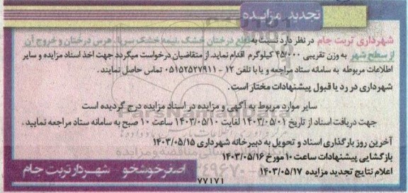 تجدید مزایده قطع درختان خشک نیمه خشک سریا، هرس درختان و خروج آن از سطح شهر