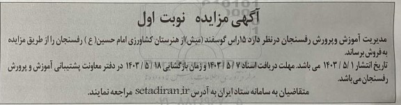 مزایده 15 راس گوسفند (میش)