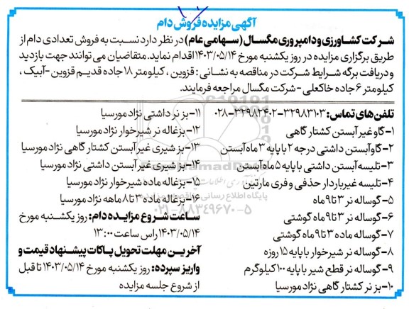 مزایده فروش دام