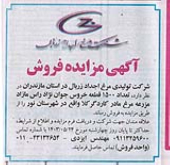 مزایده تعداد 1500 قطعه خروس جوان نژاد 
