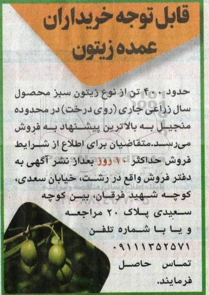 مزایده فروش حدود 400 تن از نوع زیتون سبز