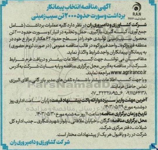 مناقصه انتخاب پیمانکار برداشت و سورت حدود 2000 تن سیب زمینی 
