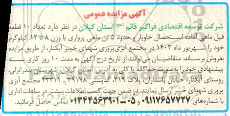 مزایده  تعداد  10 قطعه فیل ماهی آماده استحصال خاویار و حدود 5 تن ماهی پرواری با وزن 8 تا 12 کیلوگرم