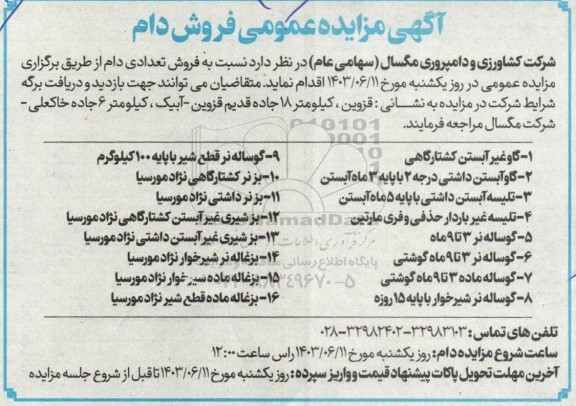 مزایده فروش دام 