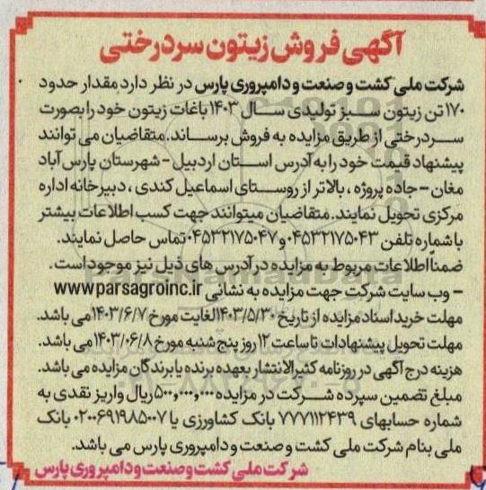 مزایده فروش زیتون سردرختی