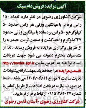آگهی مزایده دام سبک 