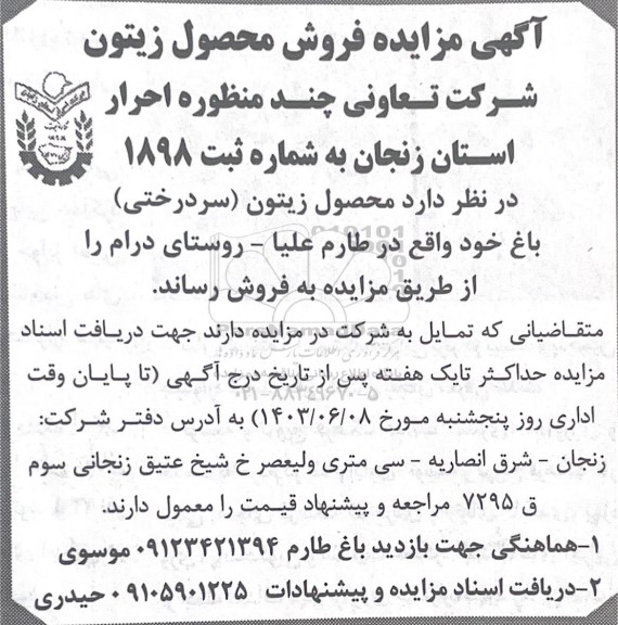 مزایده فروش محصول زیتون