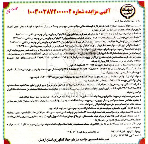 آگهی مزایده فروش گوسفند مغانی مازاد و حذفی