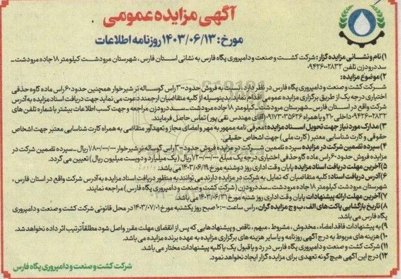 مزایده  فروش حدود 300 راس گوساله نر شیرخوار همچنین حدود 60 راس ماده گاوه حذفی اختیاری درجه یک 