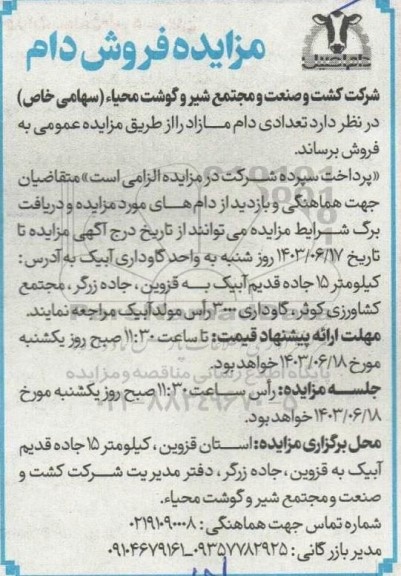 مزایده فروش دام