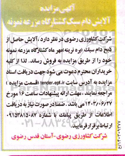 مزایده آلایش دام سبک کشتار مزرعه نمونه