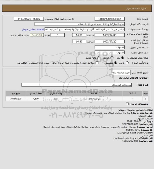 استعلام خرید درختچه یوکا