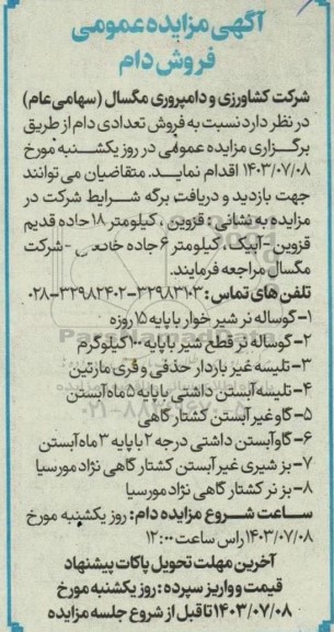 مزایده فروش دام
