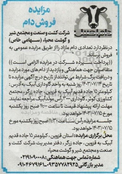 مزایده فروش دام
