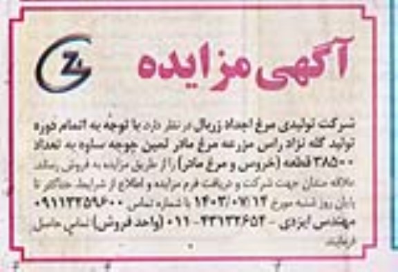 مزایده فروش تعداد 38500 قطعه (خروس و مرغ مادر) 