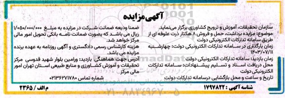 آگهی مزایده برداشت ،حمل و فروش 8 هکتار ذرت علوفه ای 