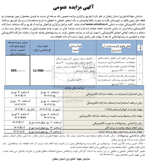 مزایده فروش محصول زیتون موجود در دو قطعه باغ زیتون