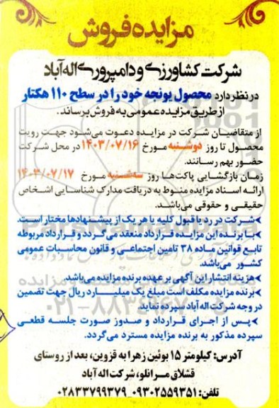 مزایده فروش محصول یونجه