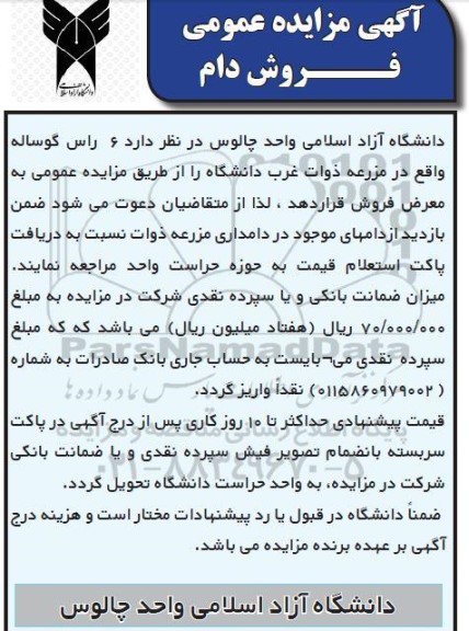 مزایده فروش 6 راس گوساله