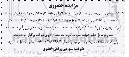 مزایده فروش  تعداد 9 رأس ماده گاو حذفی 