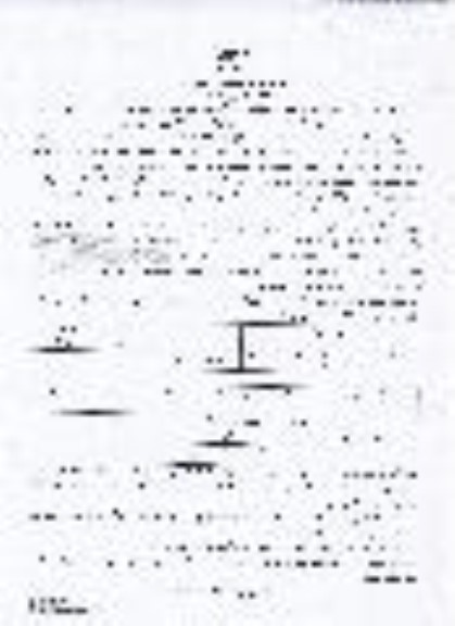 فراخوان  واگذاری 1- پارکینگ وسائط نقلیه مسافری و ...